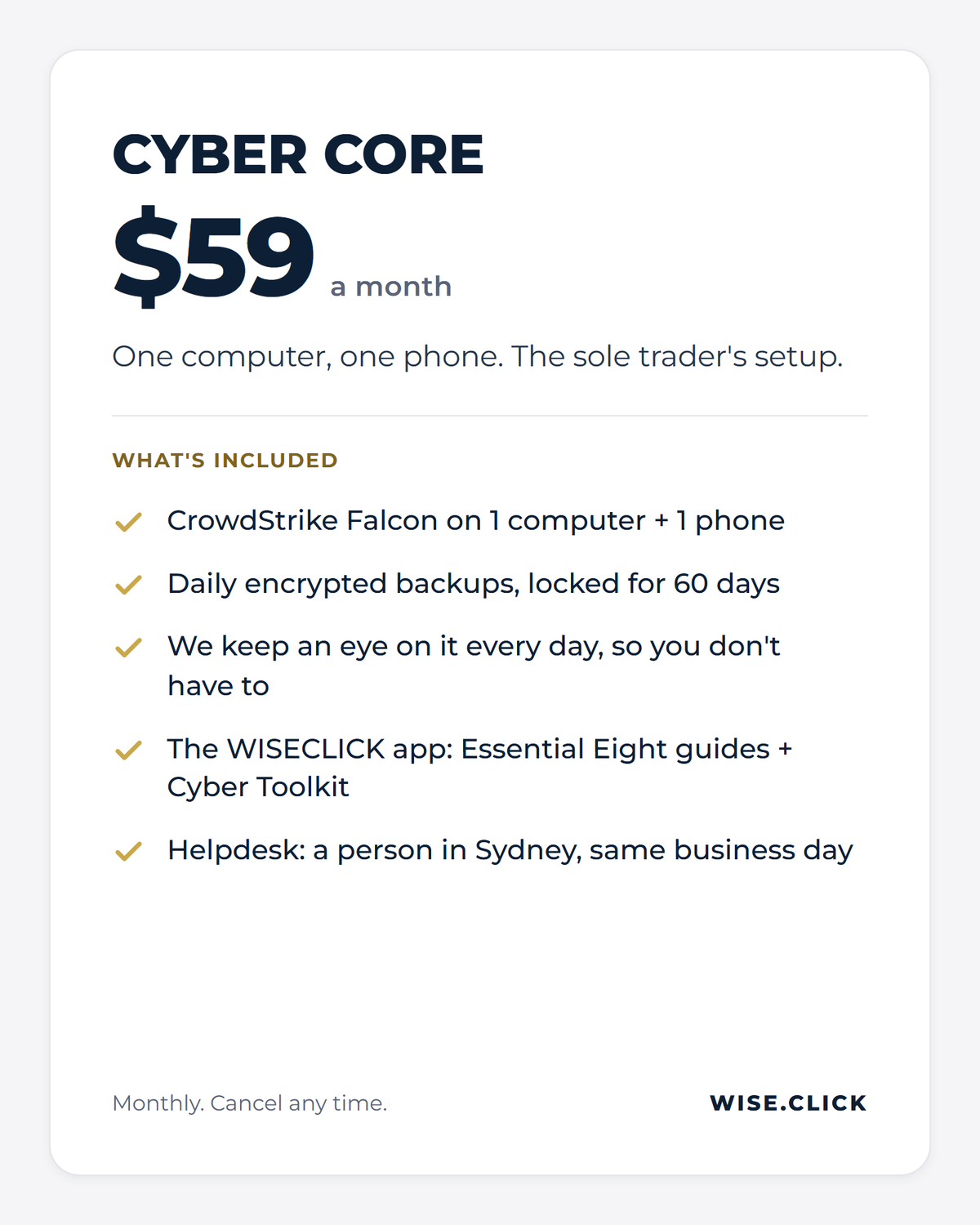 Cyber Core, $59 a month: 1 computer and 1 phone