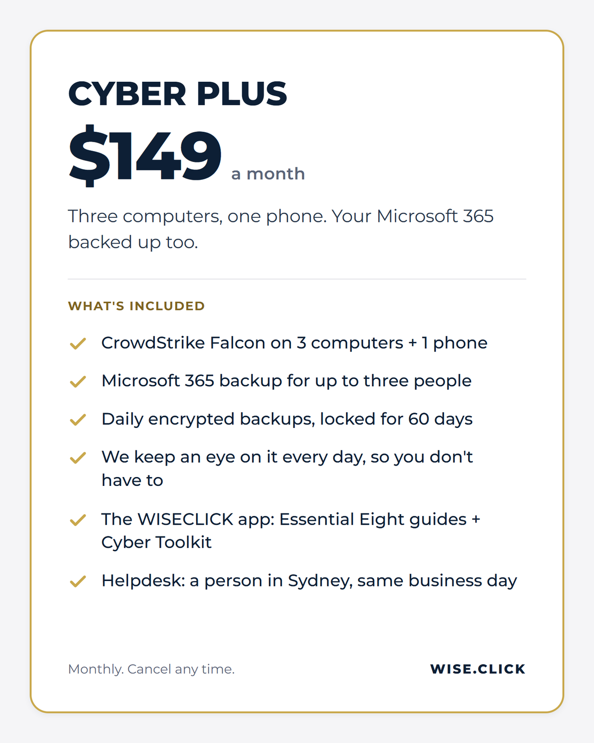 Cyber Plus, $149 a month: 3 computers, 1 phone and Microsoft 365 backup