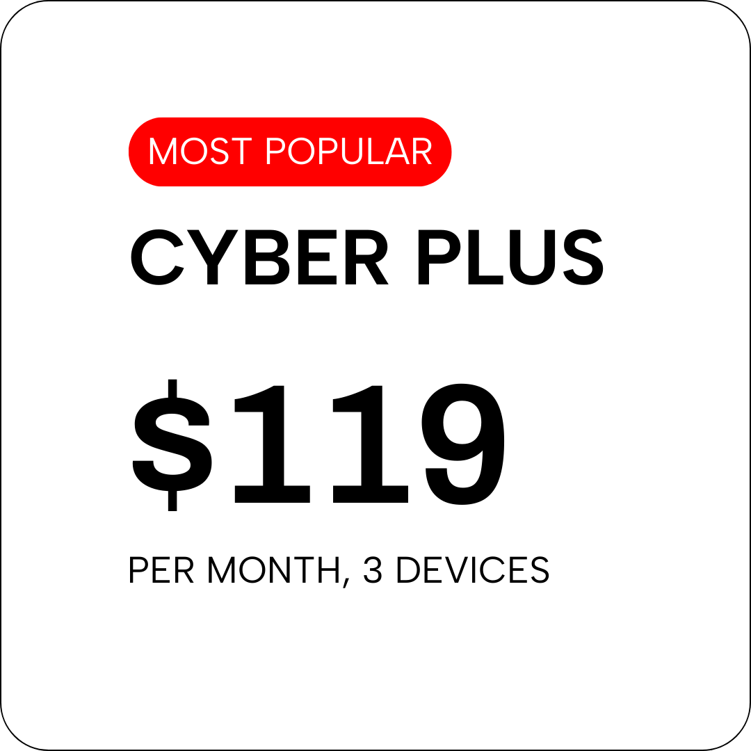 
CYBER PLUS
$119/month — up to 3 devices
Pro-level cybersecurity for small teams and growing businesses.