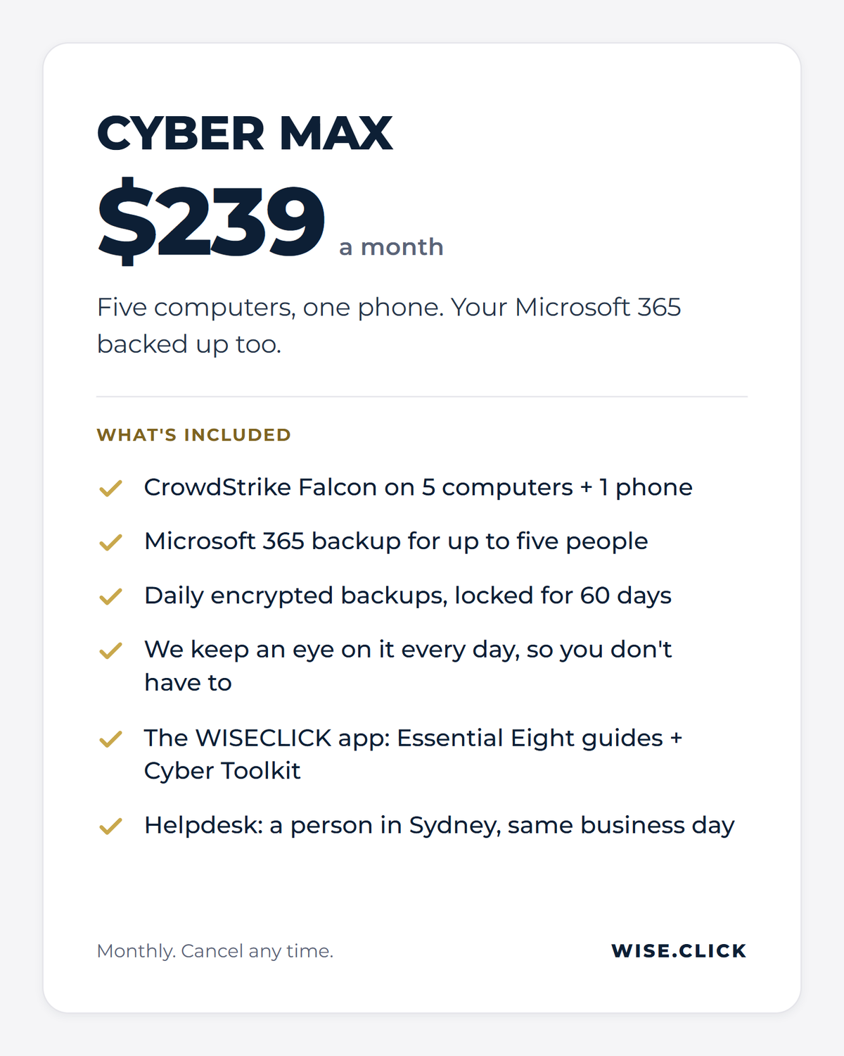 Cyber Max, $239 a month: 5 computers, 1 phone and Microsoft 365 backup